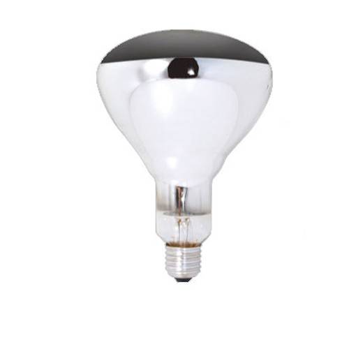 Infiniti 250W Globe Screw-In by Infiniti Commercial catering equipment