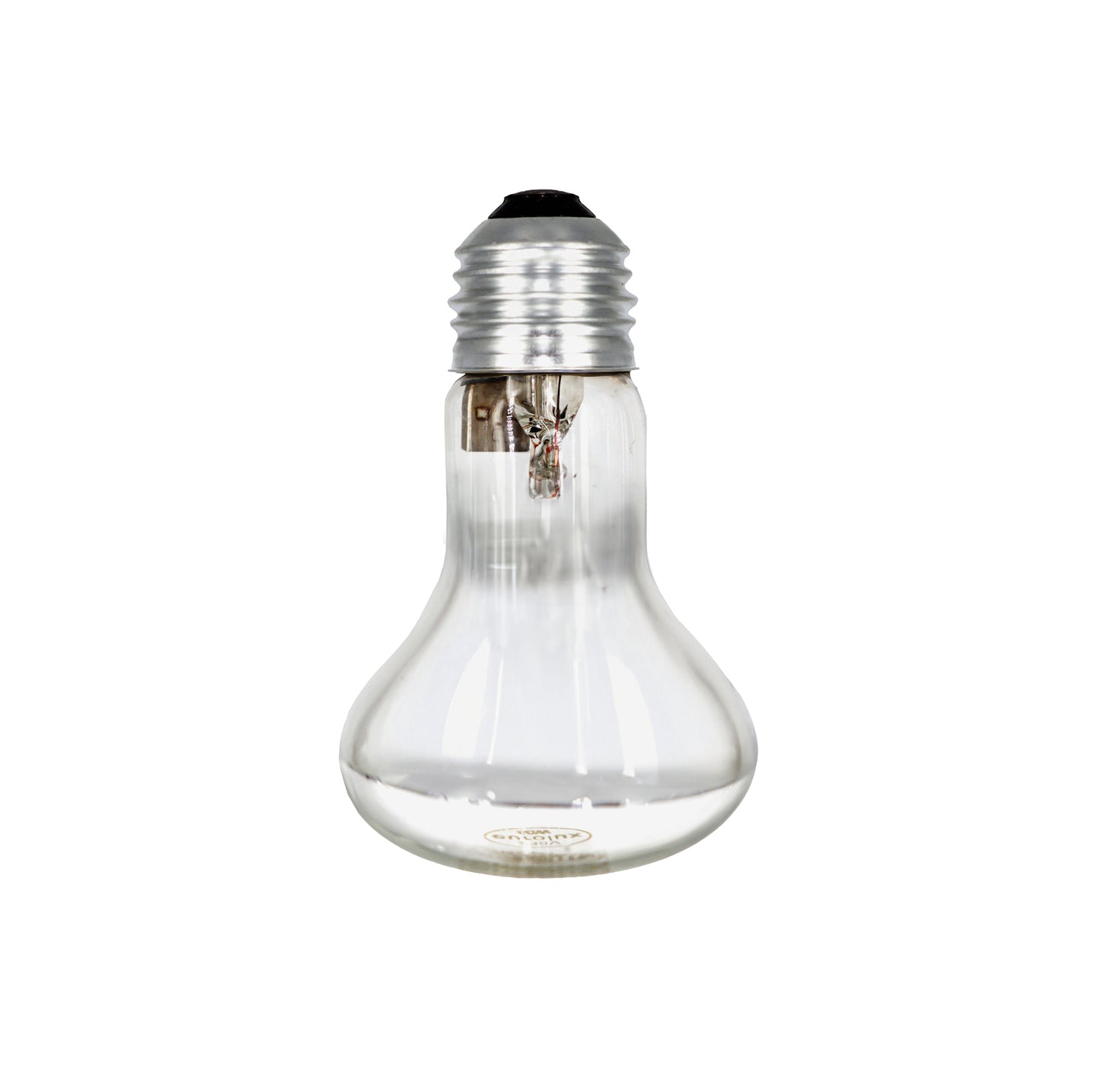 100W Globe Screw-In Mirror Back