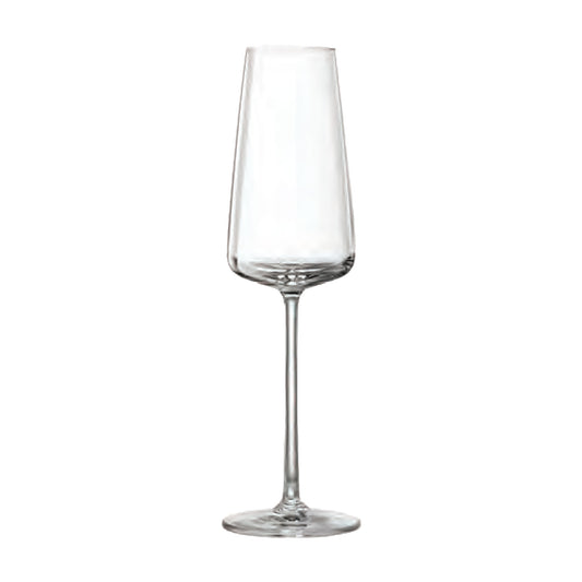 Lucaris 1LS21CP10 Muse Champagne Crystal Glass 295ml (Pack of 24)