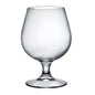 Bormioli Rocco Riserva Cognac Glass 545ml – BR1.30210C