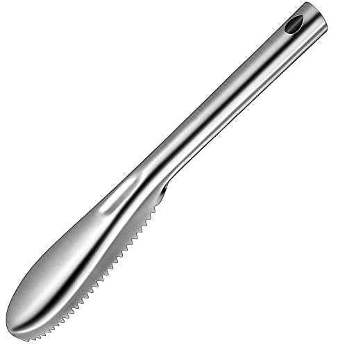 Fish Scaler - Stainless Steel - 235mm