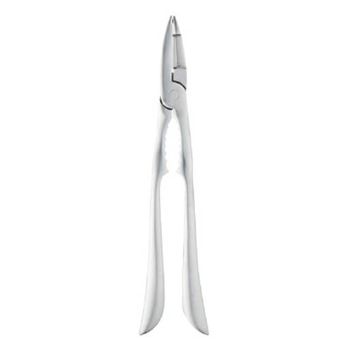 Pintinox Esclusivi Seafood Cracker (Single) by Pintinox  Seafood Tools for commercial kitchens