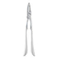 Pintinox Esclusivi Seafood Cracker (Single) by Pintinox  Seafood Tools for commercial kitchens