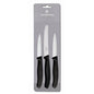 Victorinox Paring Knives Set of 3 by Victorinox  Commercial catering equipment