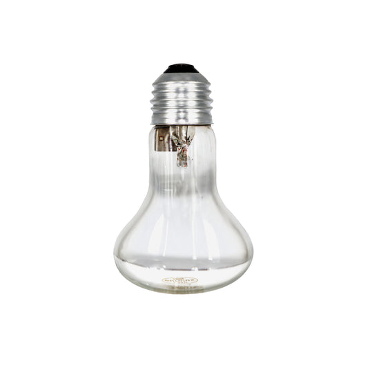 100W Globe Screw-In Mirror Back