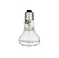 100W Globe Screw-In Mirror Back